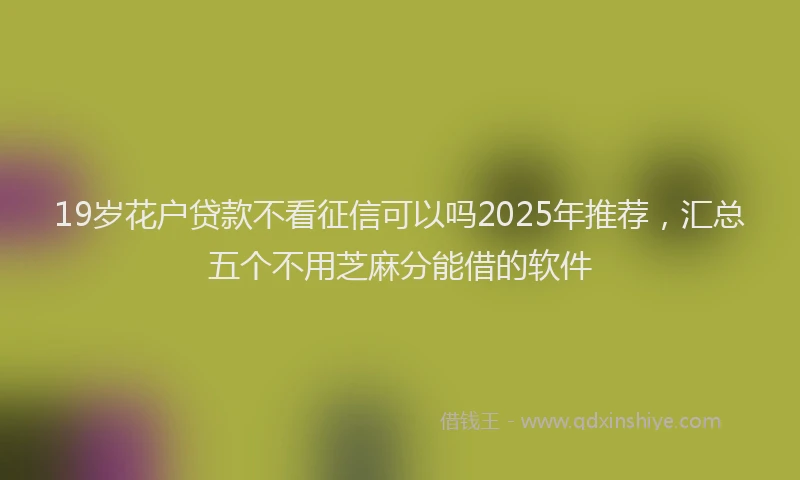 19岁花户贷款不看征信可以吗2025年推荐，汇总五个不用芝麻分能借的软件