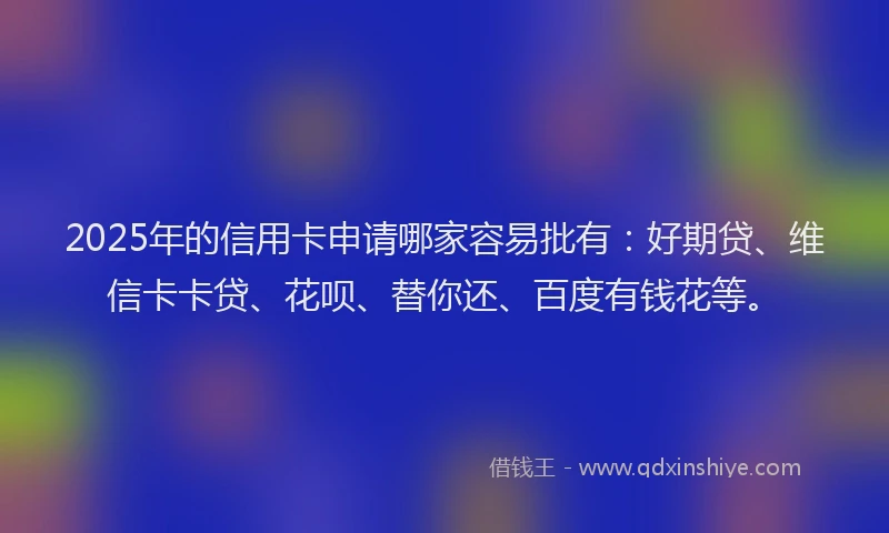 2025年的信用卡申请哪家容易批有：好期贷、维信卡卡贷、花呗、替你还、百度有钱花等。