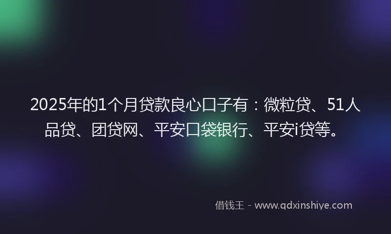 2025年的1个月贷款良心口子有：微粒贷、51人品贷、团贷网、平安口袋银行、平安i贷等。