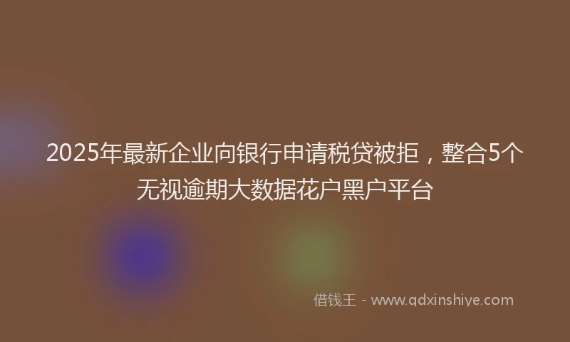 2025年最新企业向银行申请税贷被拒，整合5个无视逾期大数据花户黑户平台
