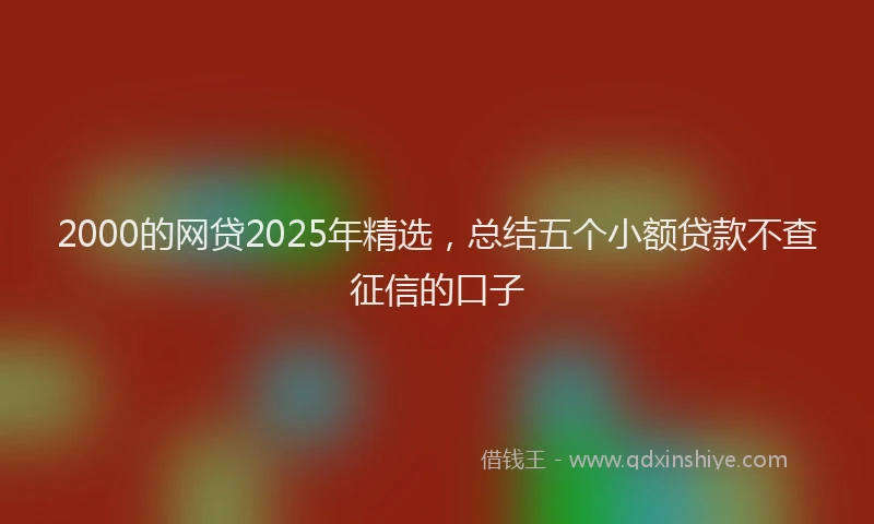 2000的网贷2025年精选，总结五个小额贷款不查征信的口子
