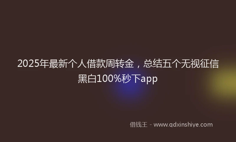 2025年最新个人借款周转金，总结五个无视征信黑白100%秒下app