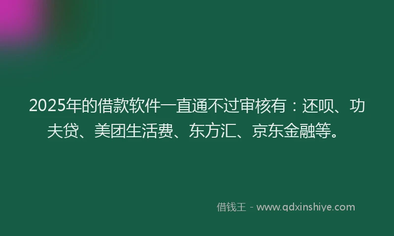 2025年的借款软件一直通不过审核有：还呗、功夫贷、美团生活费、东方汇、京东金融等。
