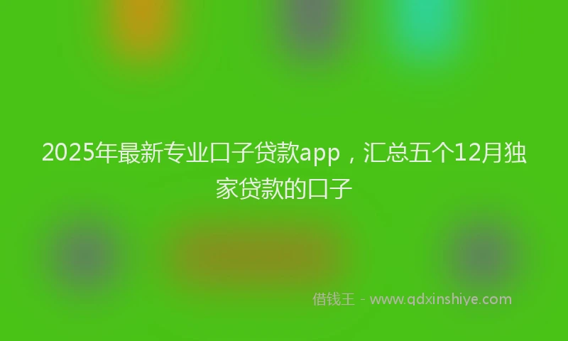 2025年最新专业口子贷款app，汇总五个12月独家贷款的口子