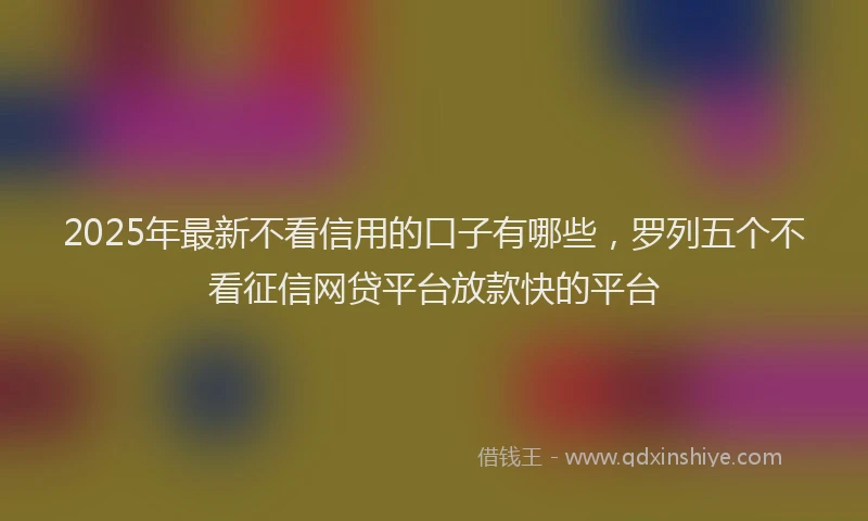 2025年最新不看信用的口子有哪些，罗列五个不看征信网贷平台放款快的平台