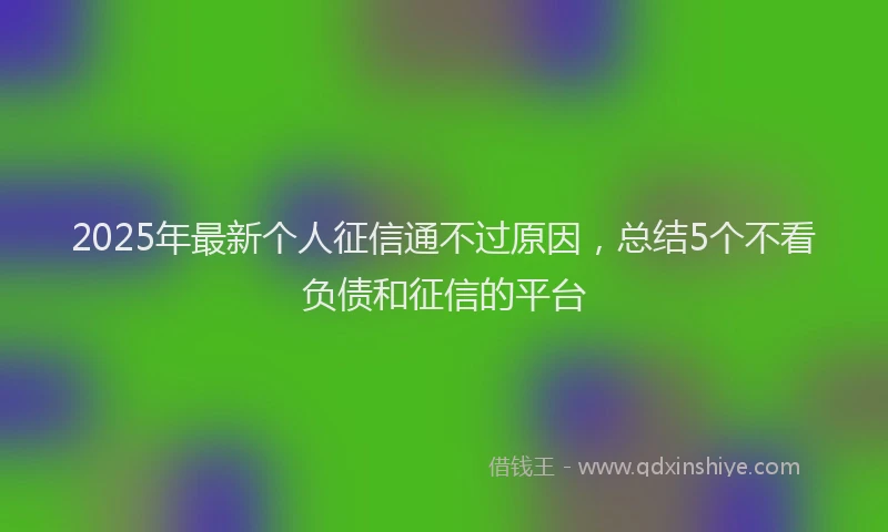 2025年最新个人征信通不过原因，总结5个不看负债和征信的平台