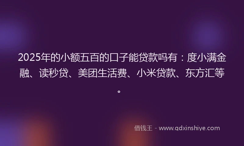 2025年的小额五百的口子能贷款吗有：度小满金融、读秒贷、美团生活费、小米贷款、东方汇等。