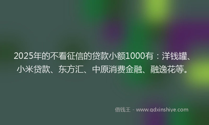 2025年的不看征信的贷款小额1000有：洋钱罐、小米贷款、东方汇、中原消费金融、融逸花等。