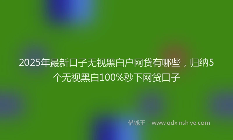 2025年最新口子无视黑白户网贷有哪些，归纳5个无视黑白100%秒下网贷口子