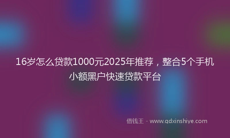 16岁怎么贷款1000元2025年推荐，整合5个手机小额黑户快速贷款平台