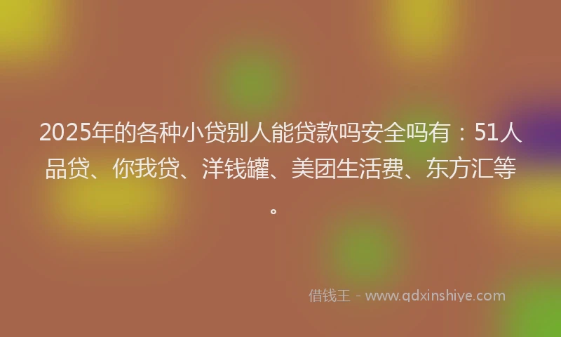 2025年的各种小贷别人能贷款吗安全吗有：51人品贷、你我贷、洋钱罐、美团生活费、东方汇等。