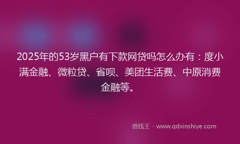 2025年的53岁黑户有下款网贷吗怎么办有：度小满金融、微粒贷、省呗、美团生活费、中原消费金融等。