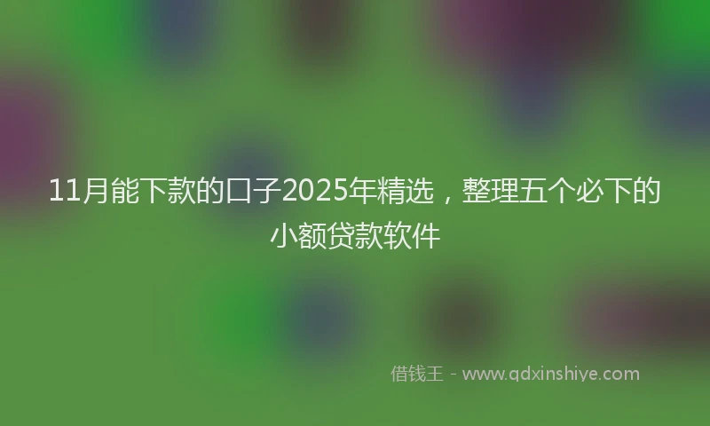 11月能下款的口子2025年精选，整理五个必下的小额贷款软件