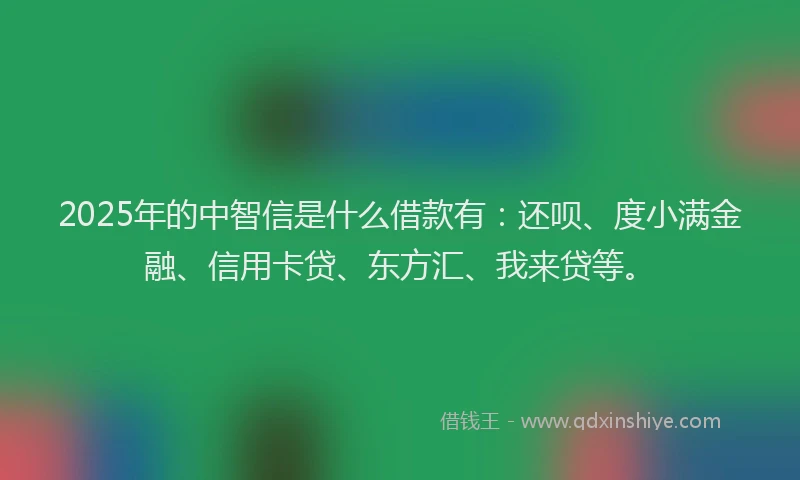 2025年的中智信是什么借款有：还呗、度小满金融、信用卡贷、东方汇、我来贷等。
