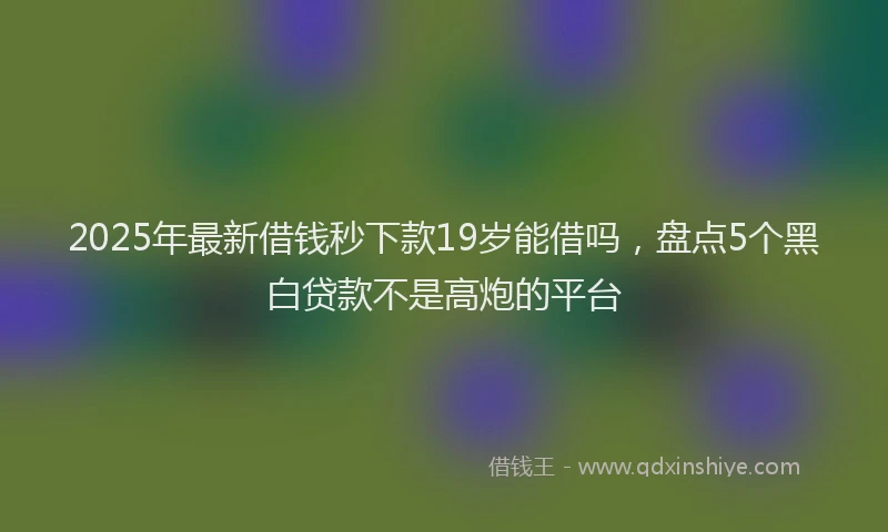 2025年最新借钱秒下款19岁能借吗，盘点5个黑白贷款不是高炮的平台