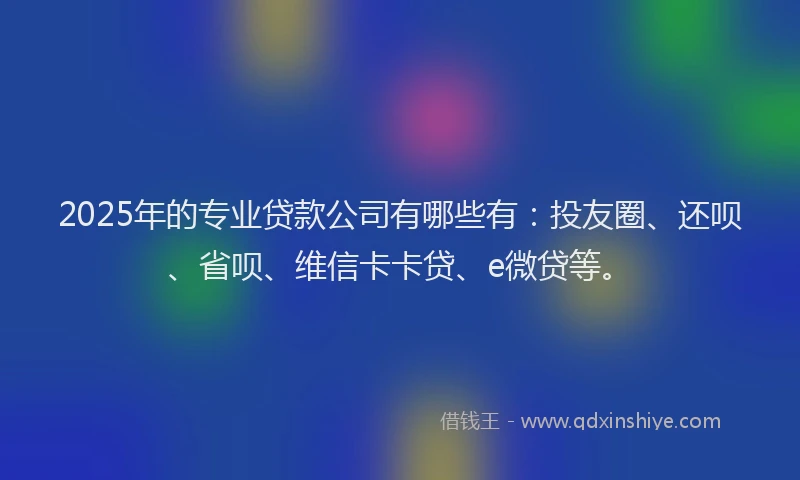 2025年的专业贷款公司有哪些有：投友圈、还呗、省呗、维信卡卡贷、e微贷等。