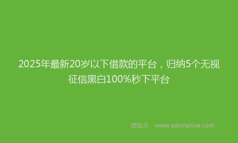 2025年最新20岁以下借款的平台，归纳5个无视征信黑白100%秒下平台