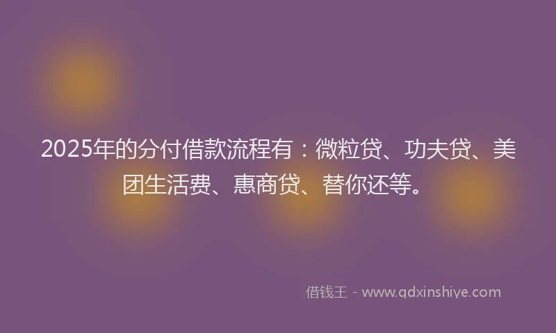 2025年的分付借款流程有：微粒贷、功夫贷、美团生活费、惠商贷、替你还等。