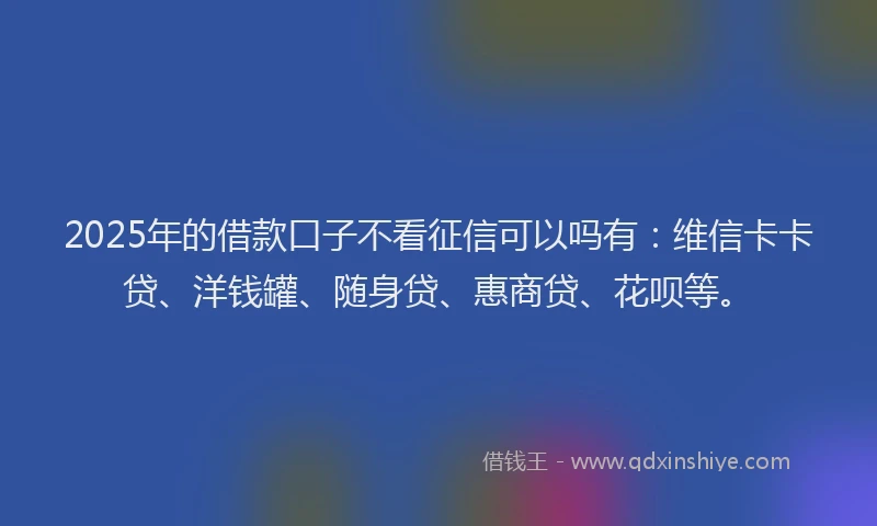 2025年的借款口子不看征信可以吗有：维信卡卡贷、洋钱罐、随身贷、惠商贷、花呗等。