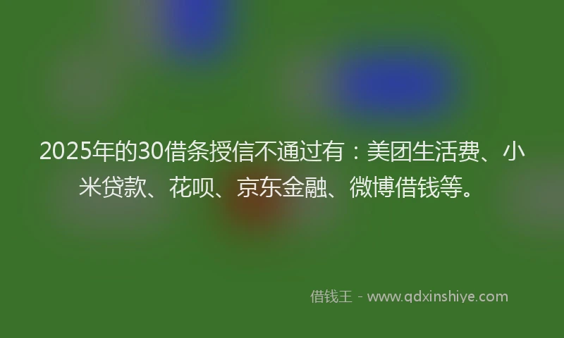 2025年的30借条授信不通过有：美团生活费、小米贷款、花呗、京东金融、微博借钱等。