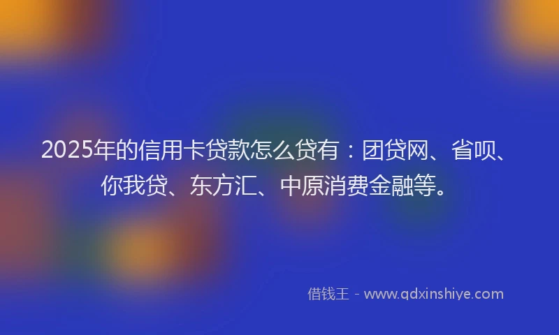 2025年的信用卡贷款怎么贷有：团贷网、省呗、你我贷、东方汇、中原消费金融等。