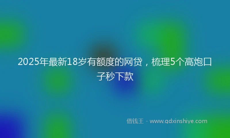 2025年最新18岁有额度的网贷，梳理5个高炮口子秒下款