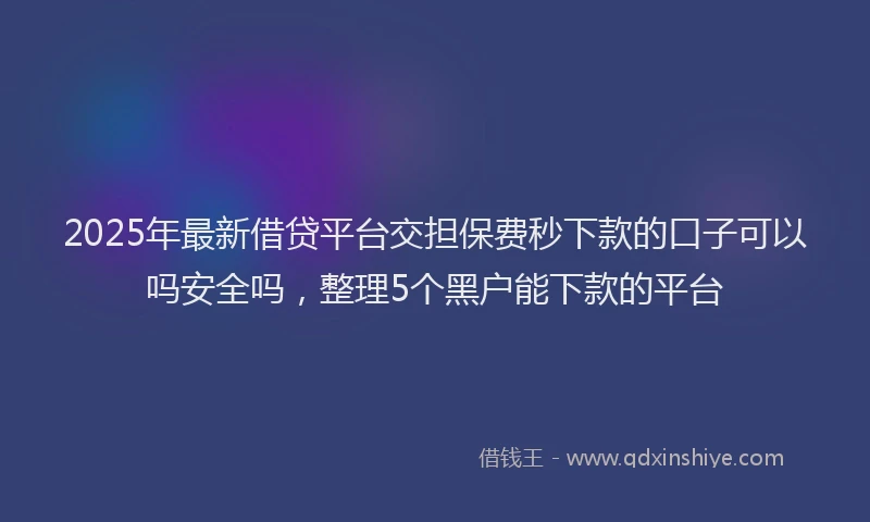 2025年最新借贷平台交担保费秒下款的口子可以吗安全吗，整理5个黑户能下款的平台