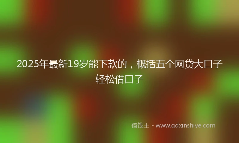 2025年最新19岁能下款的，概括五个网贷大口子轻松借口子