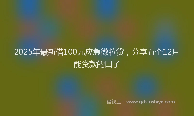 2025年最新借100元应急微粒贷，分享五个12月能贷款的口子