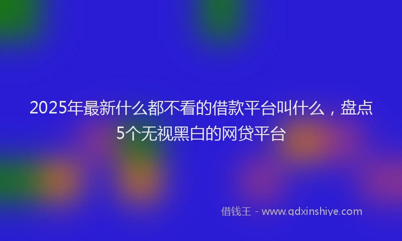 2025年最新什么都不看的借款平台叫什么，盘点5个无视黑白的网贷平台