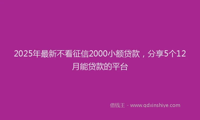 2025年最新不看征信2000小额贷款，分享5个12月能贷款的平台