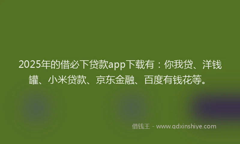 2025年的借必下贷款app下载有：你我贷、洋钱罐、小米贷款、京东金融、百度有钱花等。