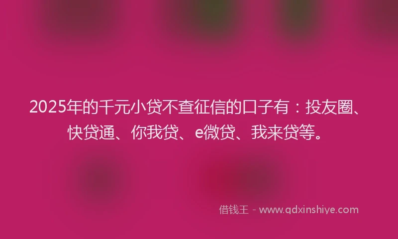 2025年的千元小贷不查征信的口子有：投友圈、快贷通、你我贷、e微贷、我来贷等。