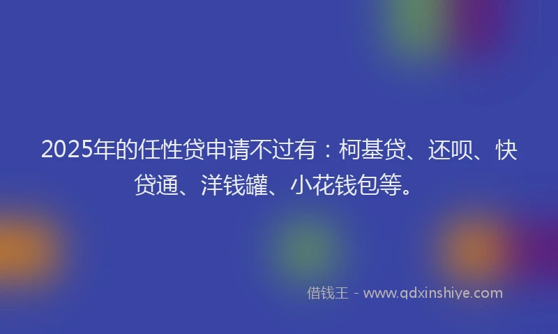 2025年的任性贷申请不过有：柯基贷、还呗、快贷通、洋钱罐、小花钱包等。