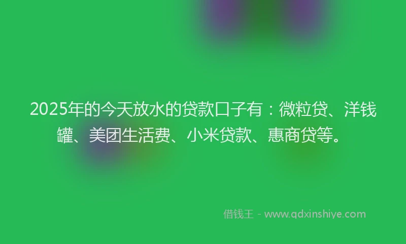 2025年的今天放水的贷款口子有：微粒贷、洋钱罐、美团生活费、小米贷款、惠商贷等。