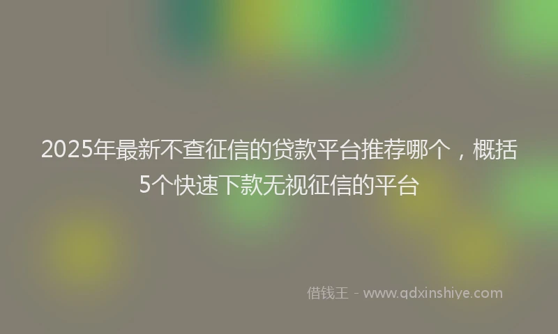 2025年最新不查征信的贷款平台推荐哪个，概括5个快速下款无视征信的平台