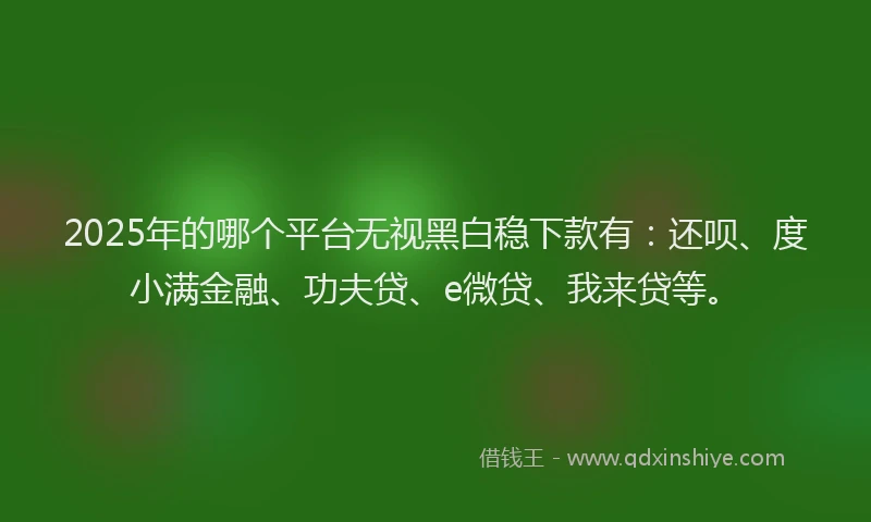 2025年的哪个平台无视黑白稳下款有：还呗、度小满金融、功夫贷、e微贷、我来贷等。