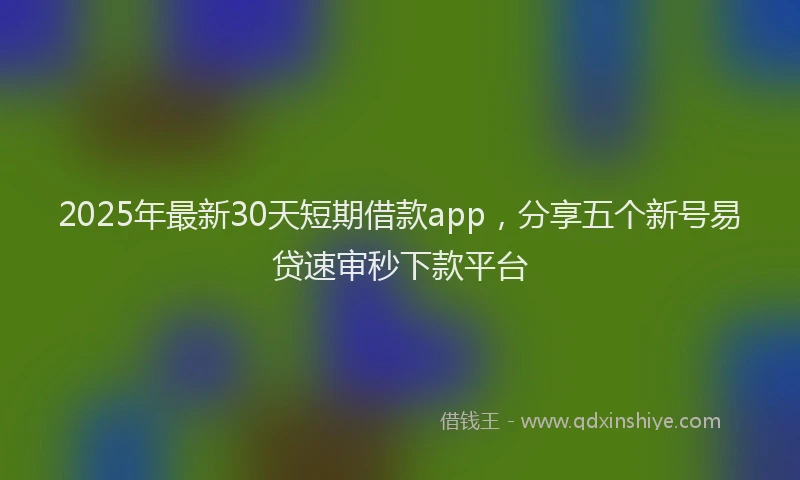 2025年最新30天短期借款app，分享五个新号易贷速审秒下款平台