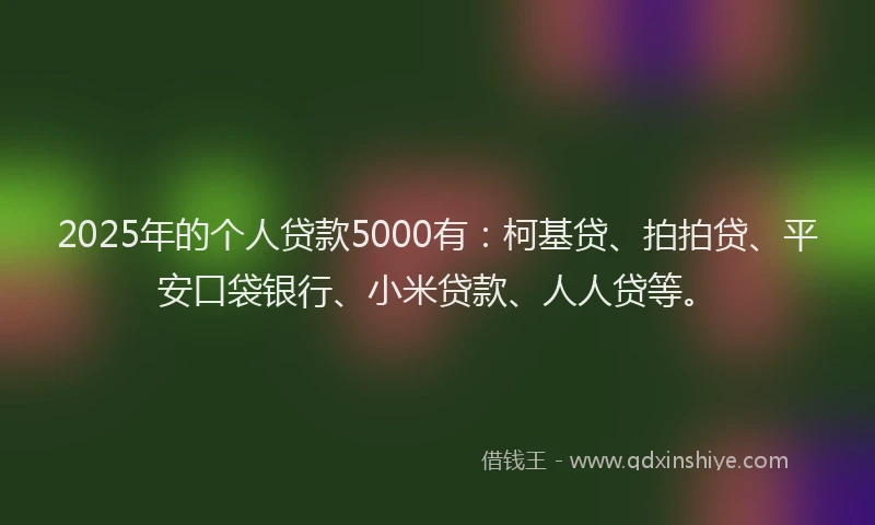 2025年的个人贷款5000有：柯基贷、拍拍贷、平安口袋银行、小米贷款、人人贷等。