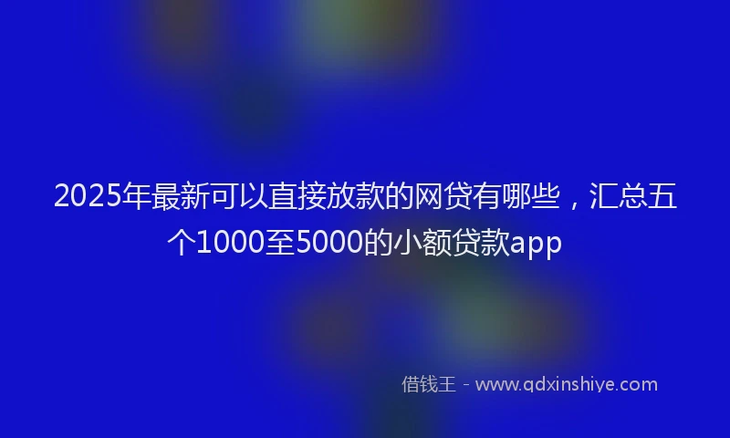 2025年最新可以直接放款的网贷有哪些，汇总五个1000至5000的小额贷款app
