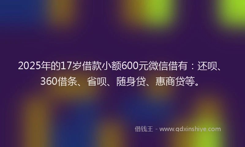 2025年的17岁借款小额600元微信借有：还呗、360借条、省呗、随身贷、惠商贷等。