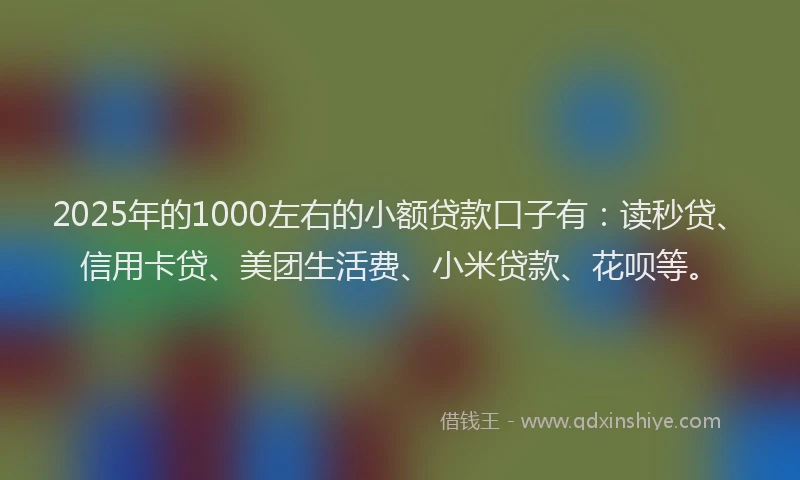 2025年的1000左右的小额贷款口子有：读秒贷、信用卡贷、美团生活费、小米贷款、花呗等。