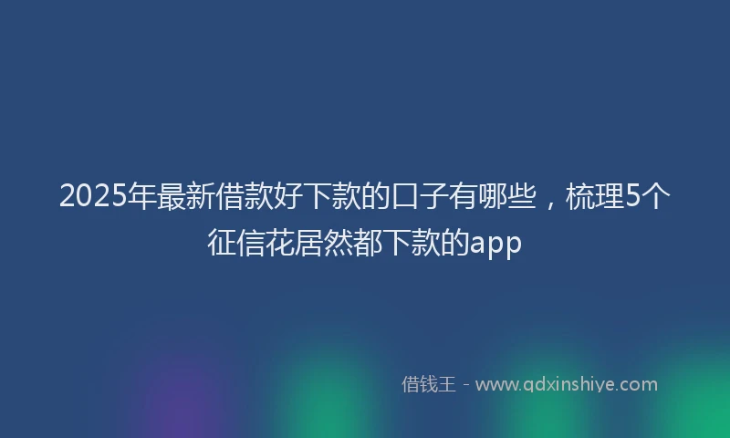 2025年最新借款好下款的口子有哪些，梳理5个征信花居然都下款的app
