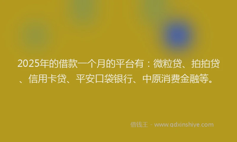2025年的借款一个月的平台有：微粒贷、拍拍贷、信用卡贷、平安口袋银行、中原消费金融等。