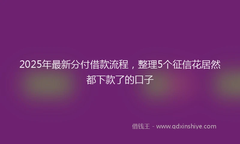 2025年最新分付借款流程，整理5个征信花居然都下款了的口子