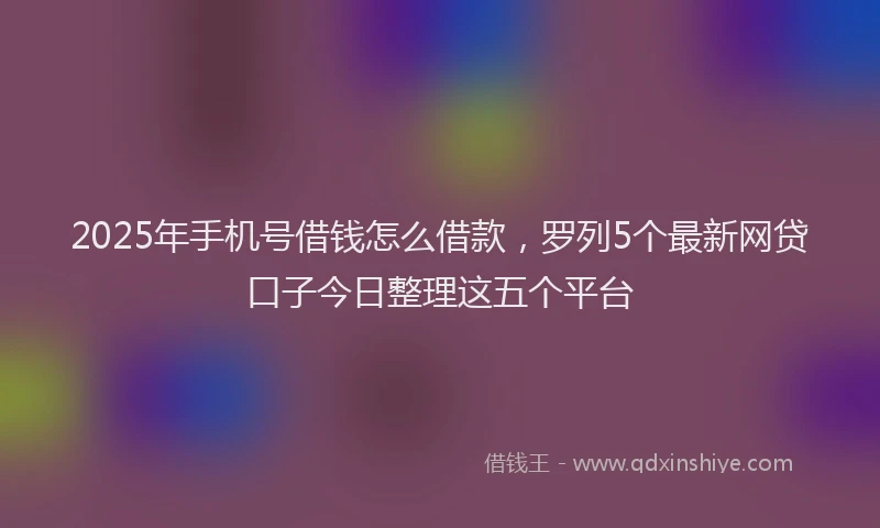 2025年手机号借钱怎么借款，罗列5个最新网贷口子今日整理这五个平台