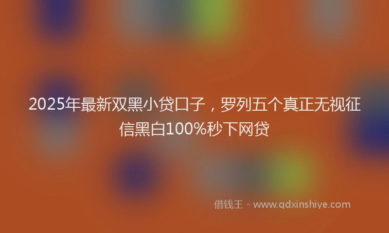 2025年最新双黑小贷口子，罗列五个真正无视征信黑白100%秒下网贷