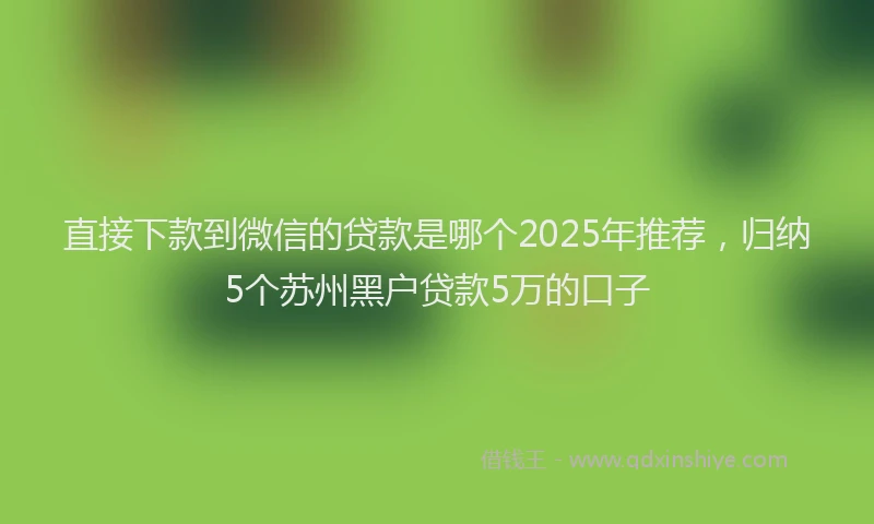 直接下款到微信的贷款是哪个2025年推荐，归纳5个苏州黑户贷款5万的口子