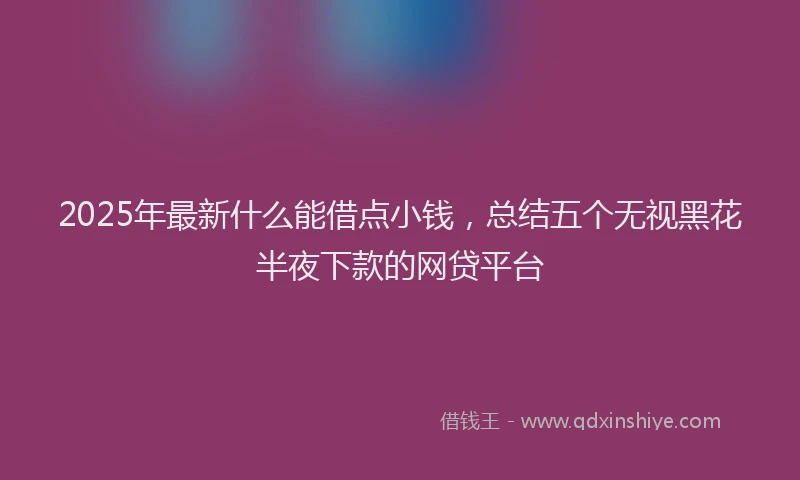 2025年最新什么能借点小钱，总结五个无视黑花半夜下款的网贷平台