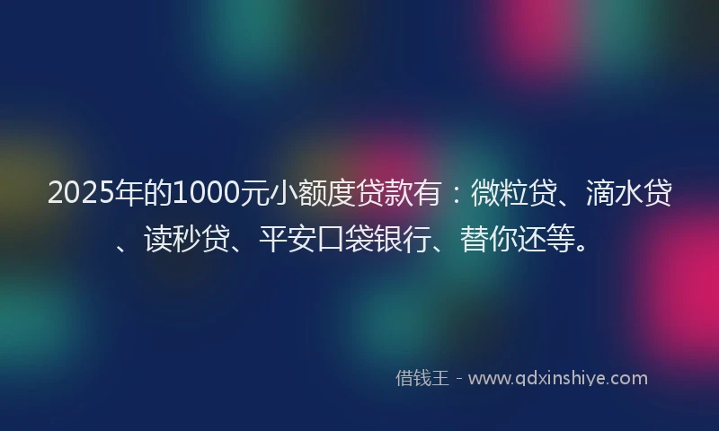 2025年的1000元小额度贷款有：微粒贷、滴水贷、读秒贷、平安口袋银行、替你还等。